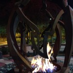 Fire of Passion
